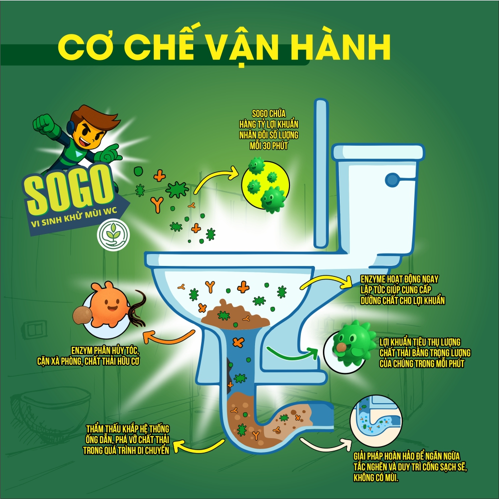 Cơ chế hoạt động của vi sinh vật SOGO